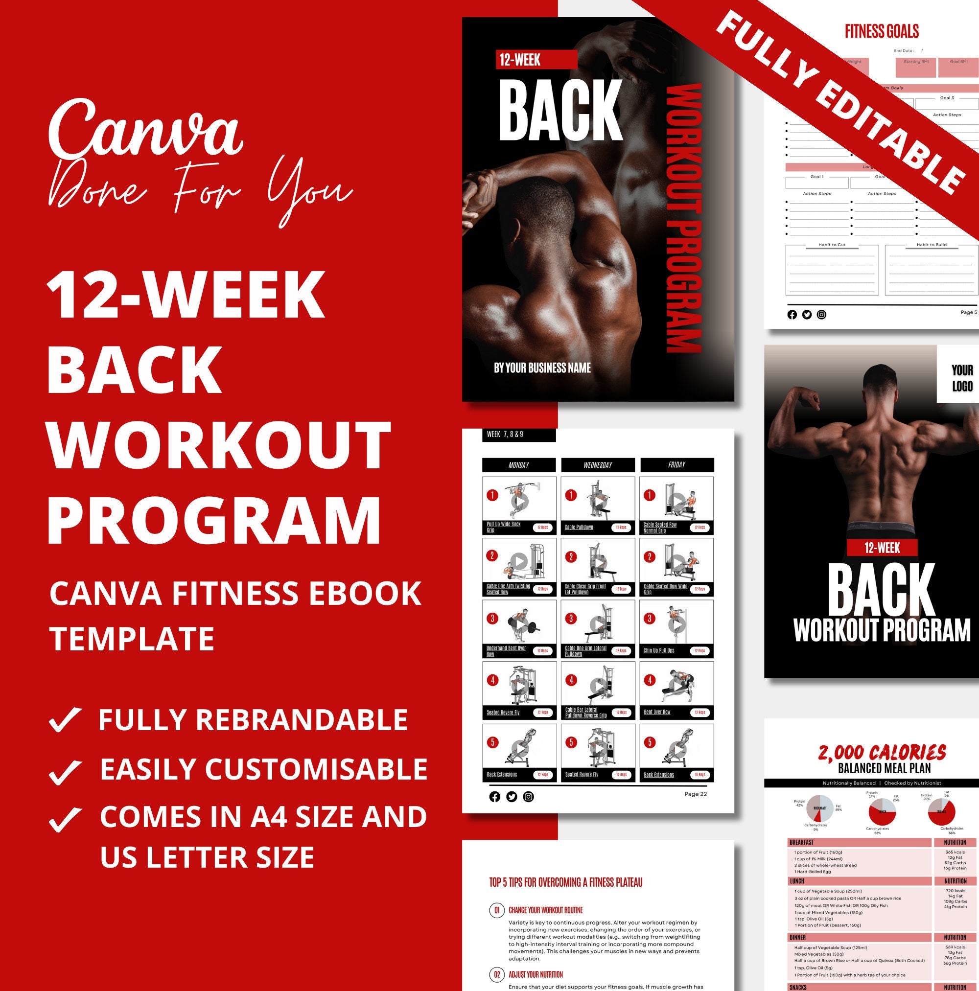12-Week Back Workout Program, PLR Digital Product, Canva Fitness eBook Template