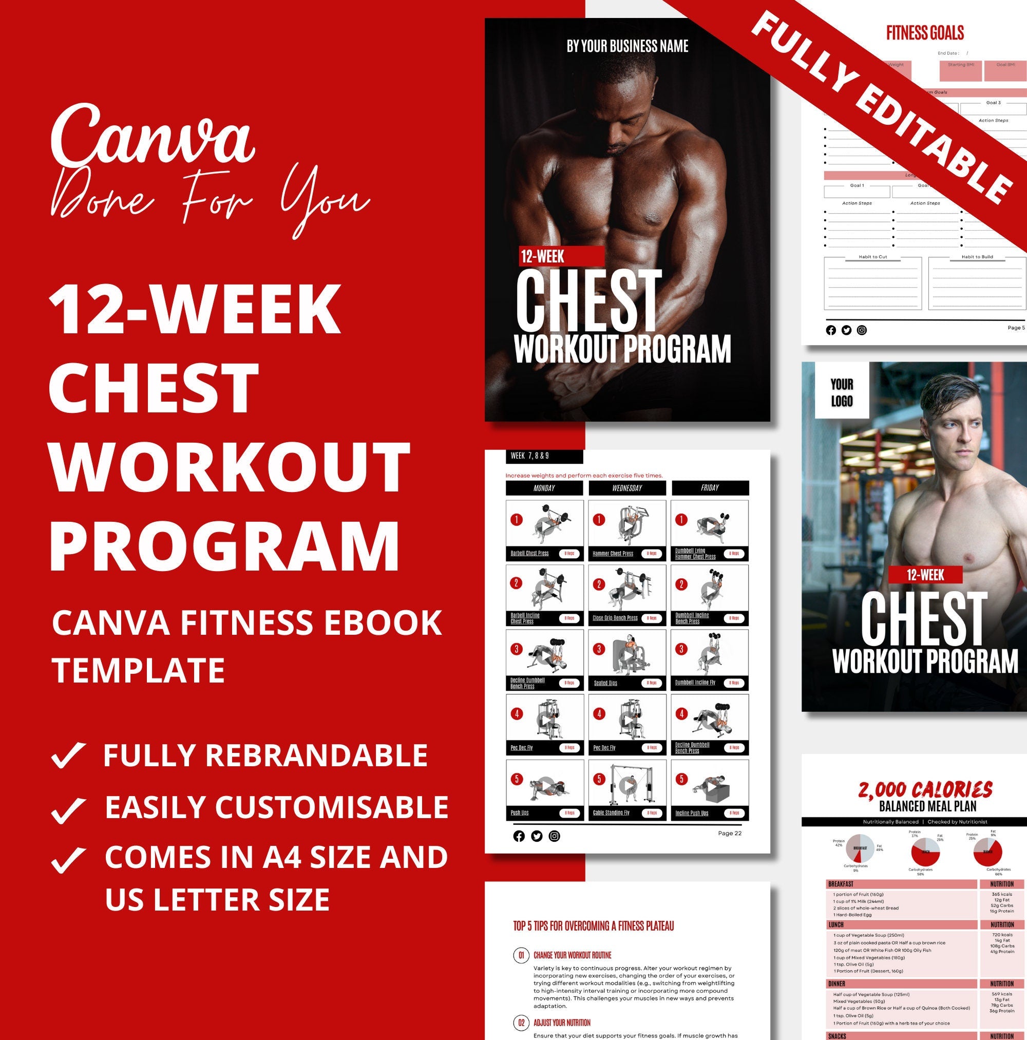 12-Week Chest Workout Program, PLR Digital Product, Canva Fitness Template