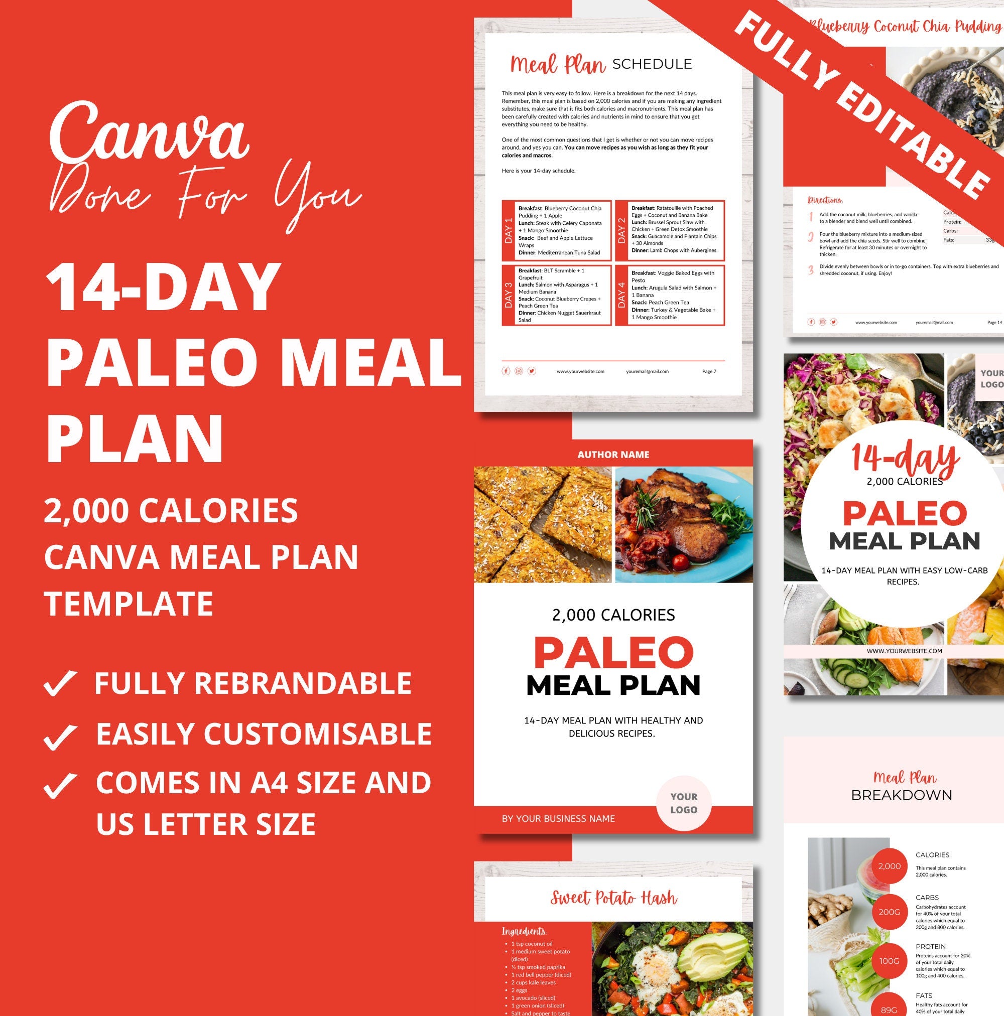 14-day PALEO Meal Plan Template , 2,000 calories, PLR Digital Product