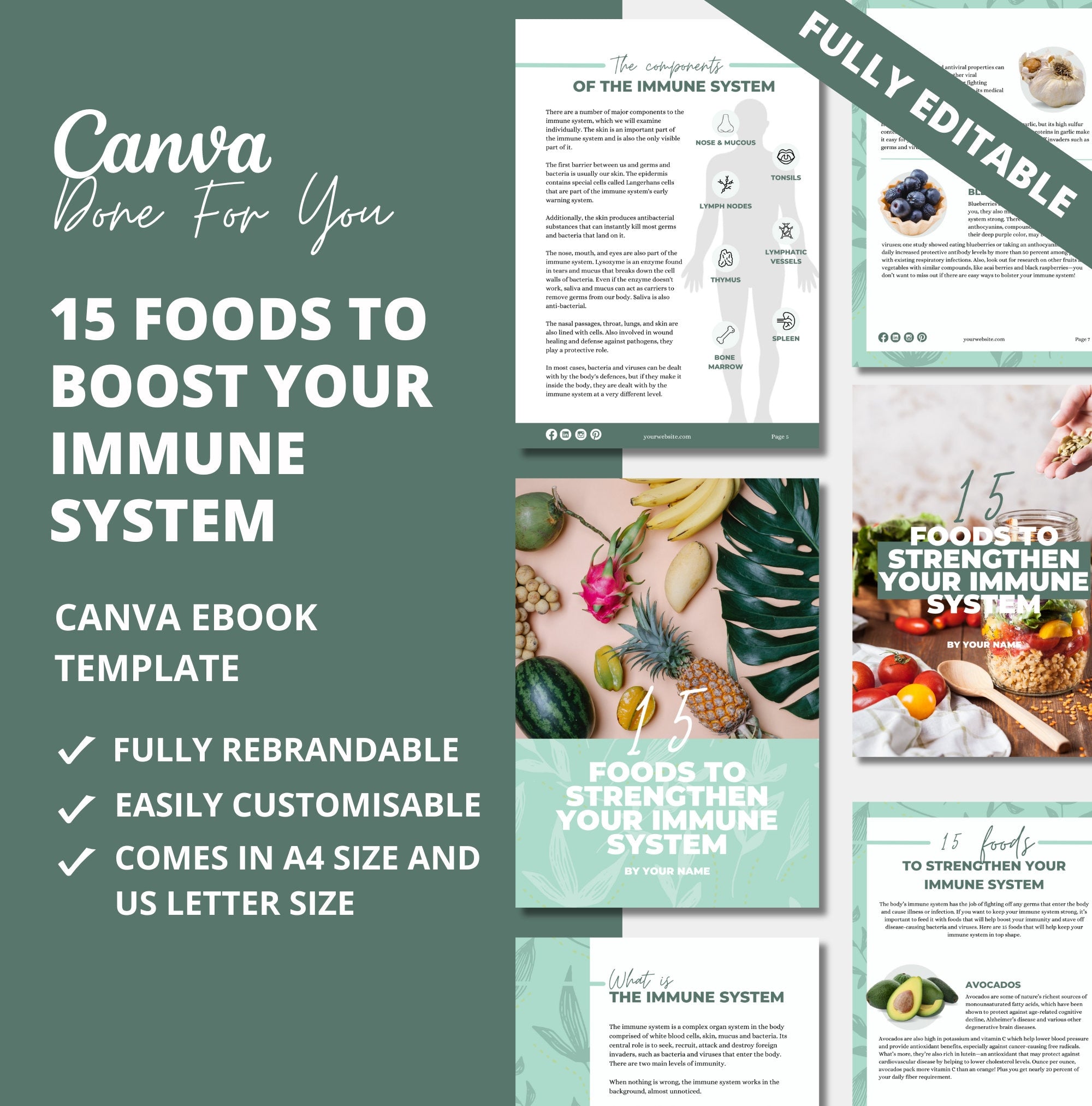15 Foods that boost immune system, PLR Digital Product, Canva eBook Template