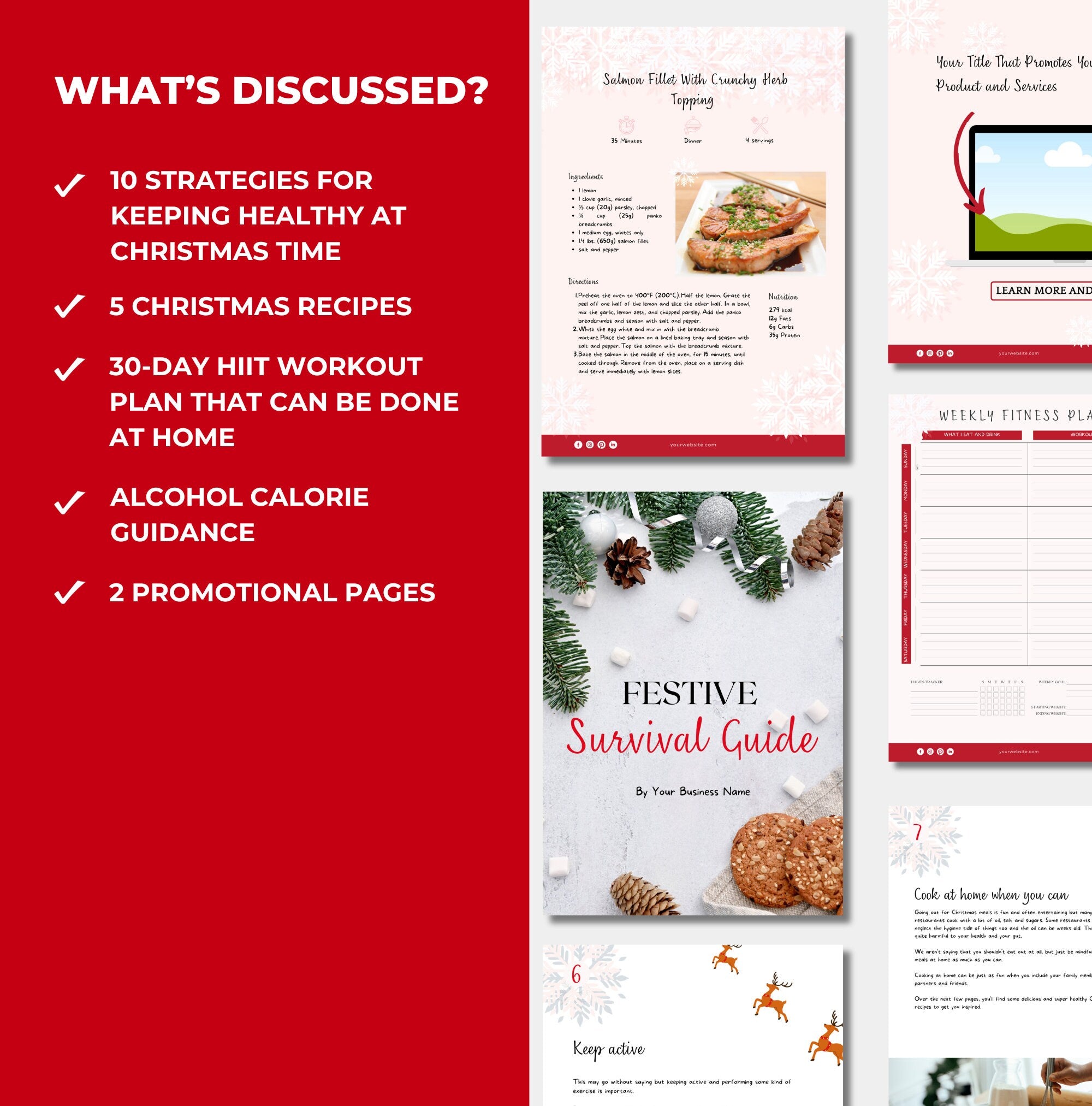 Chaptes and information discussed in this festive survival guide, PLR digital product