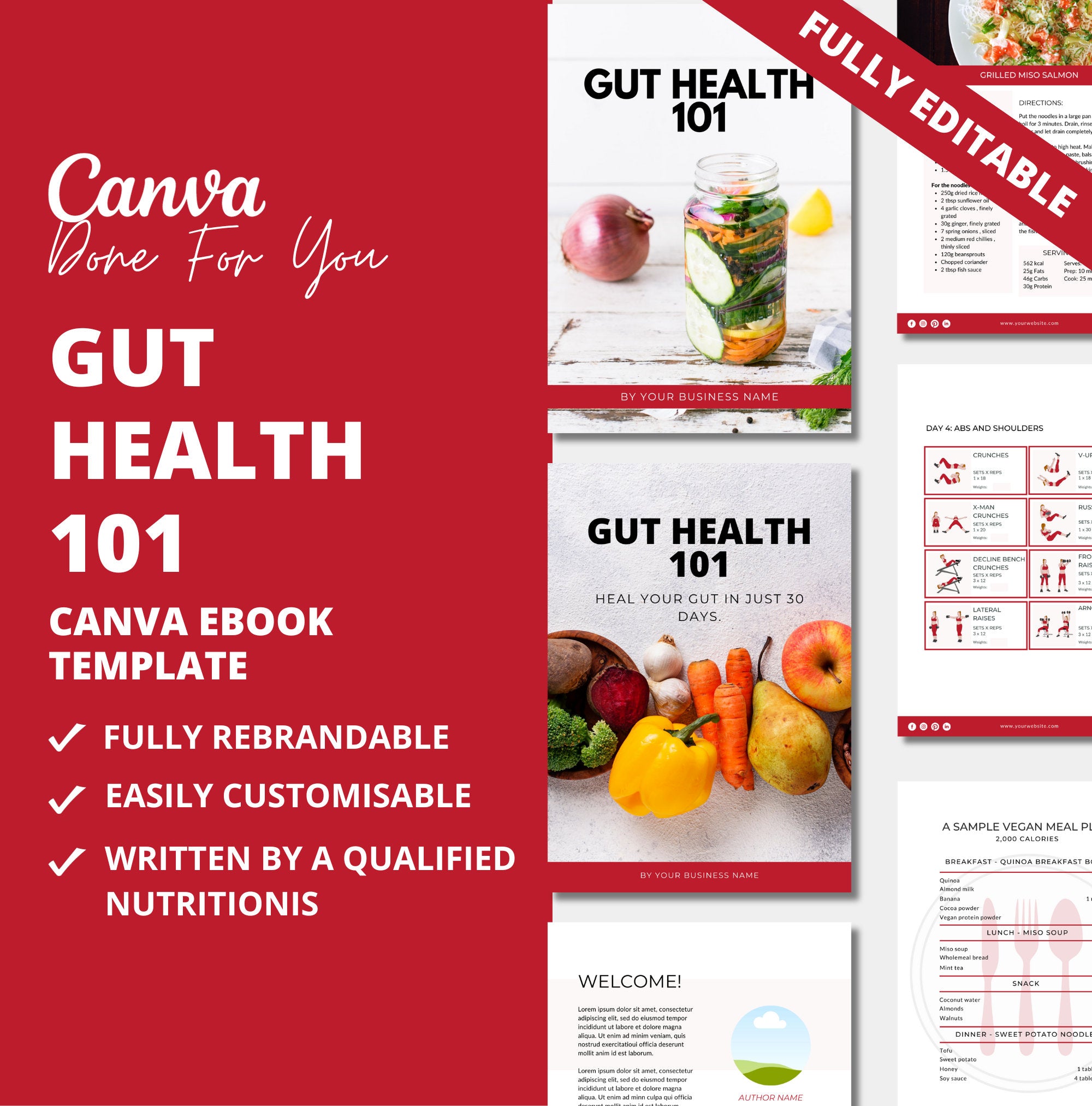 Gut Health 101 Guide, PLR Digital Product, Canva eBook Template