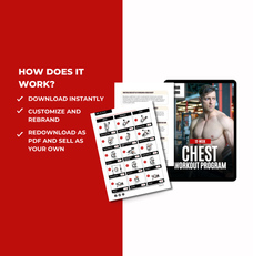 how to access the chest PLR workout plan