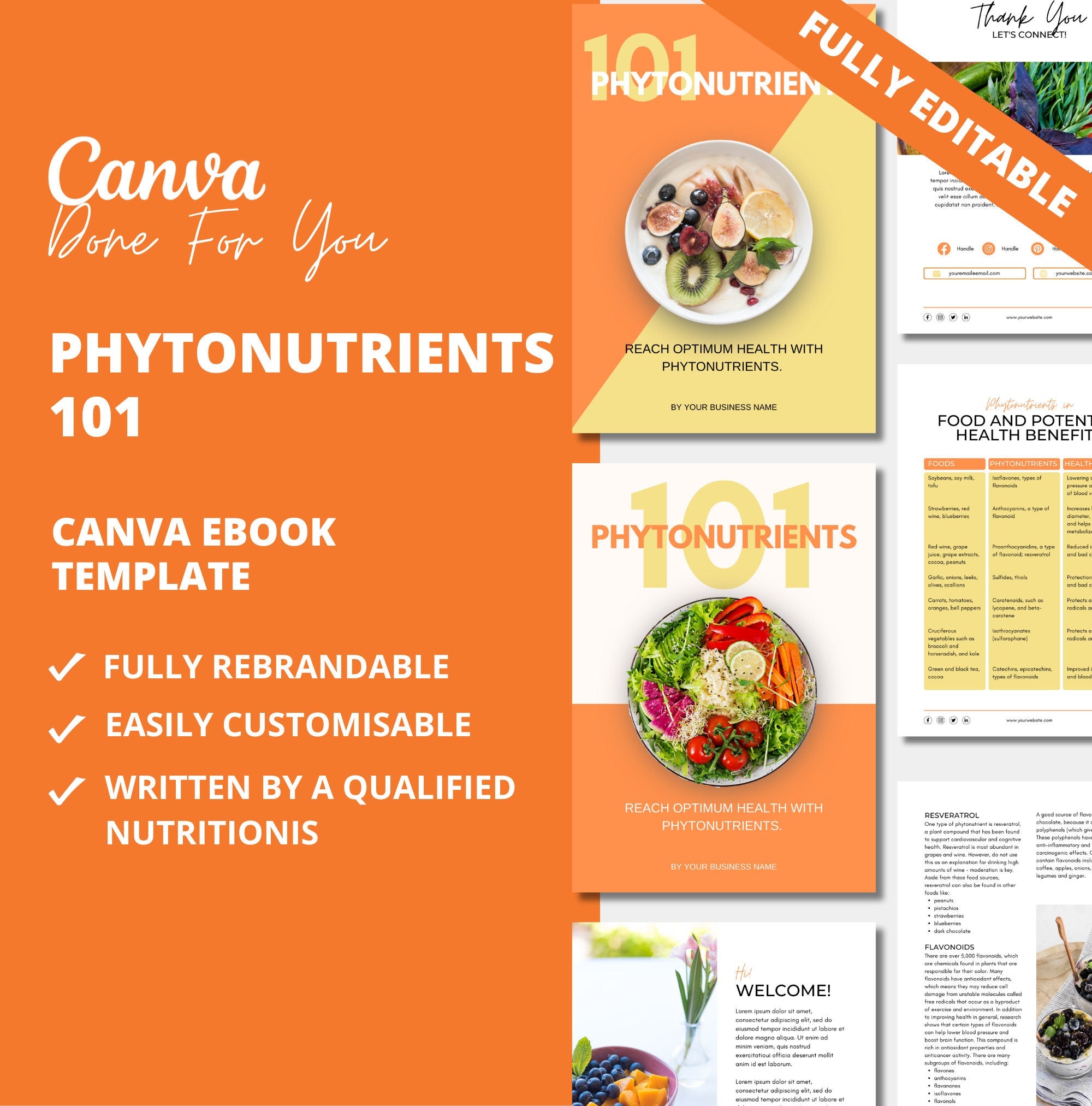 Phytonutrients 101, PLR Digital Product, Canva eBook Template