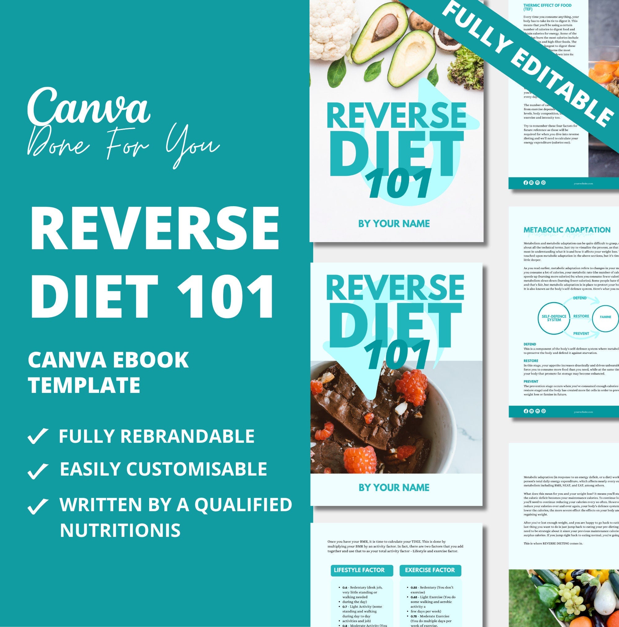Reverse Diet 101, PLR Digital Product, Canva eBook Template