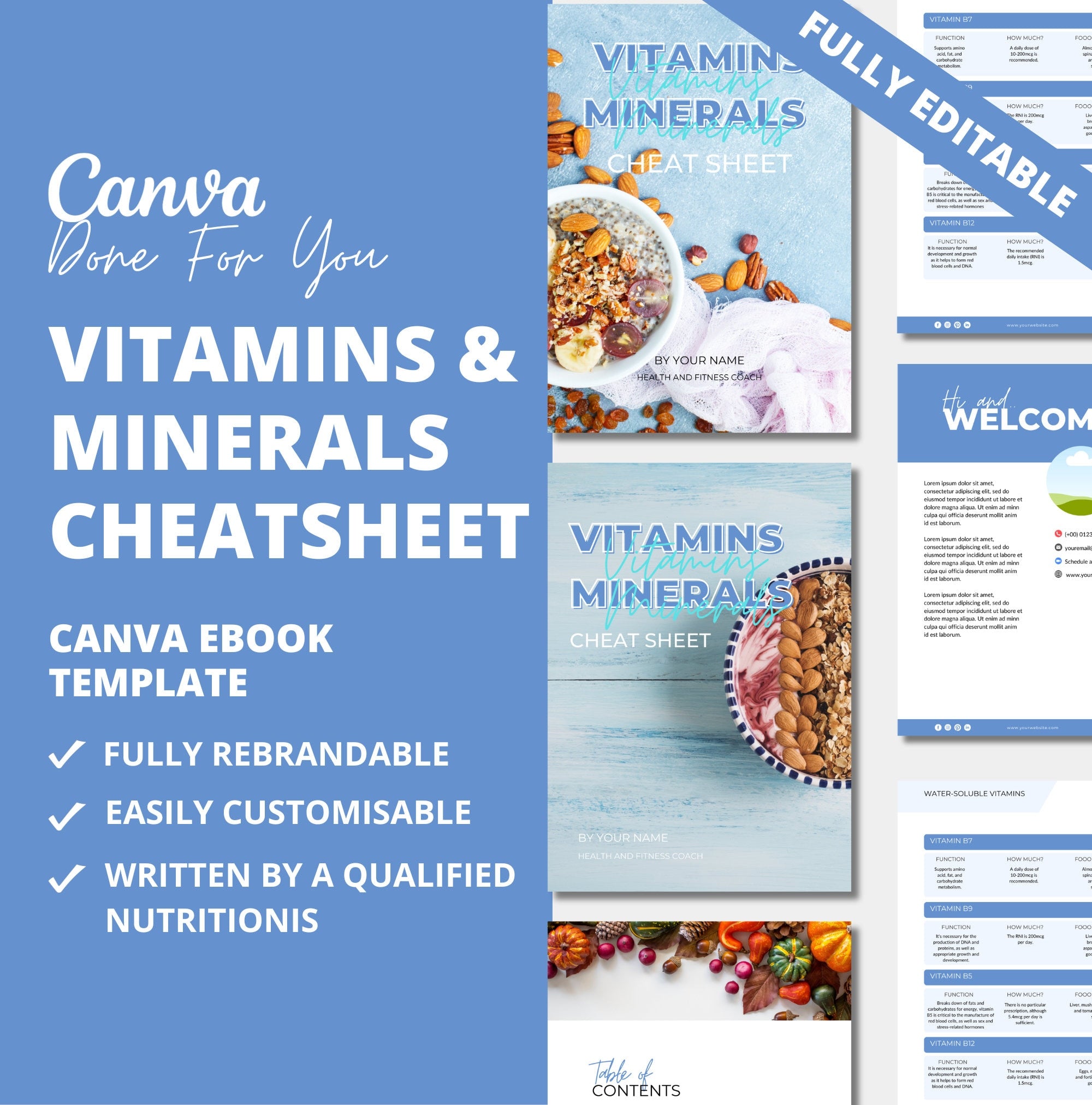 Vitamins and Minerals Cheat Sheet, PLR Digital Product, Canva eBook Template