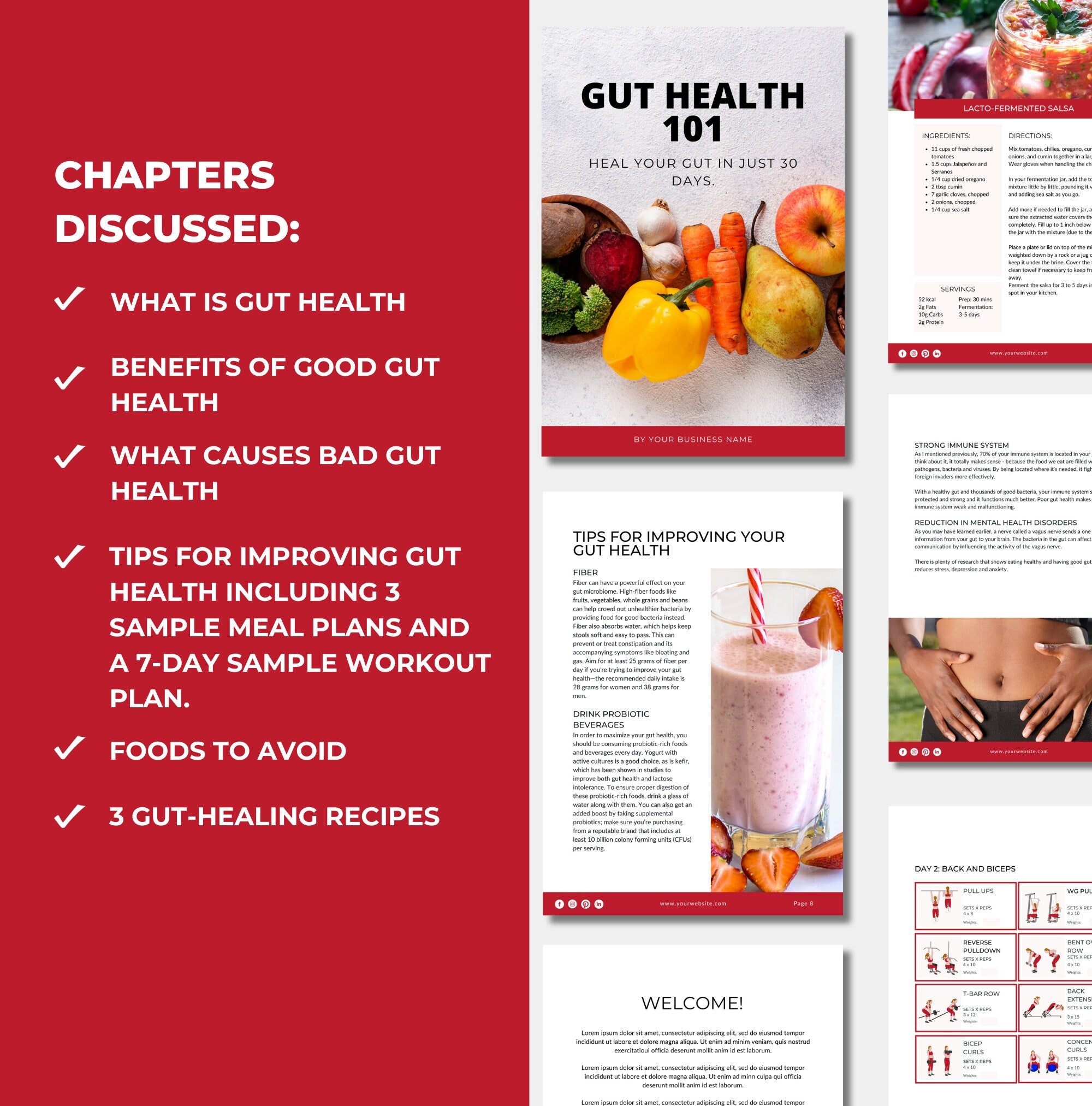 list of chapters anc ontent included in this gut health 101 guide, Canva eBook template, PLR digital product