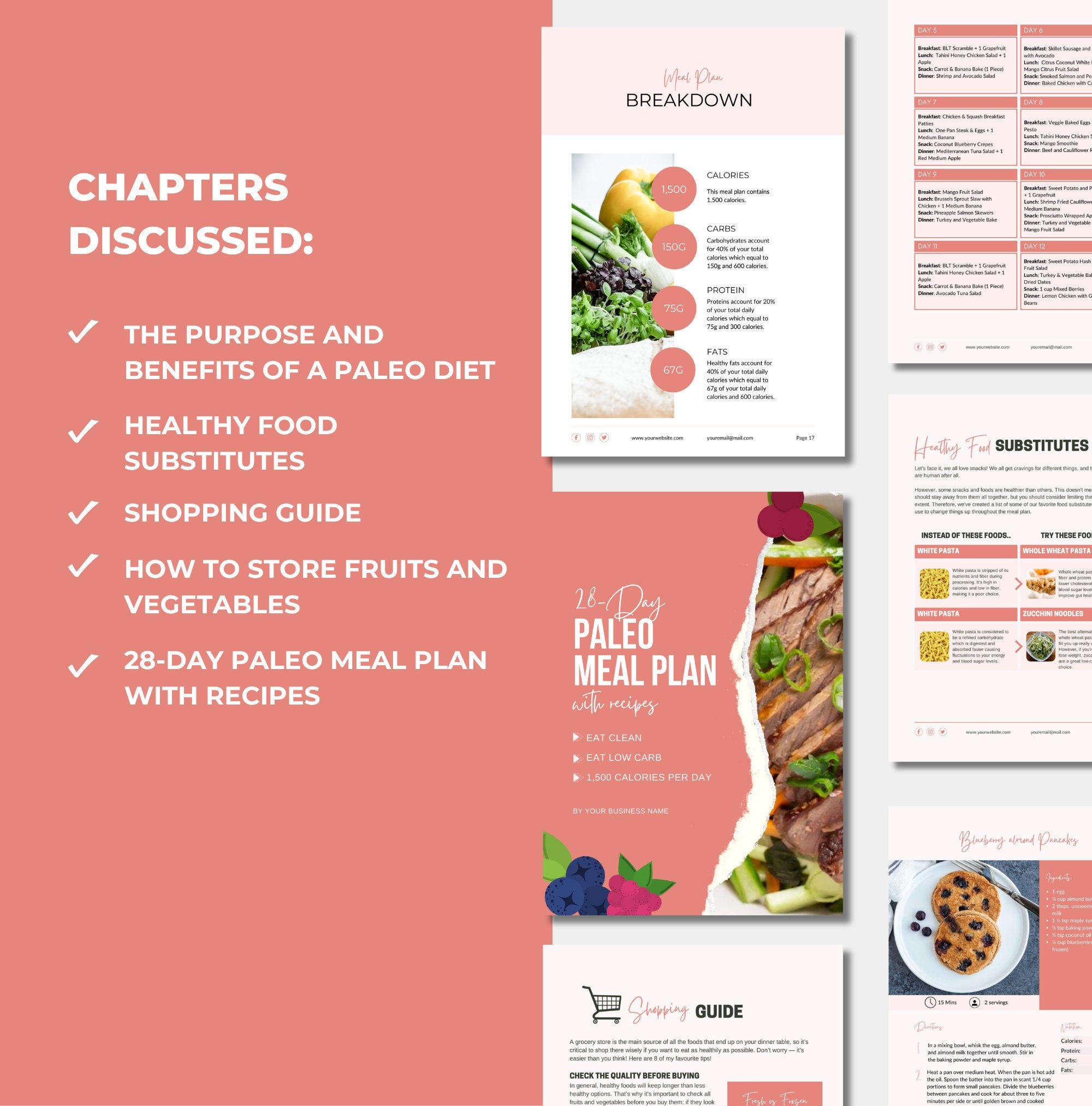 list of chapters discussed in this plr digital product, meal plan template