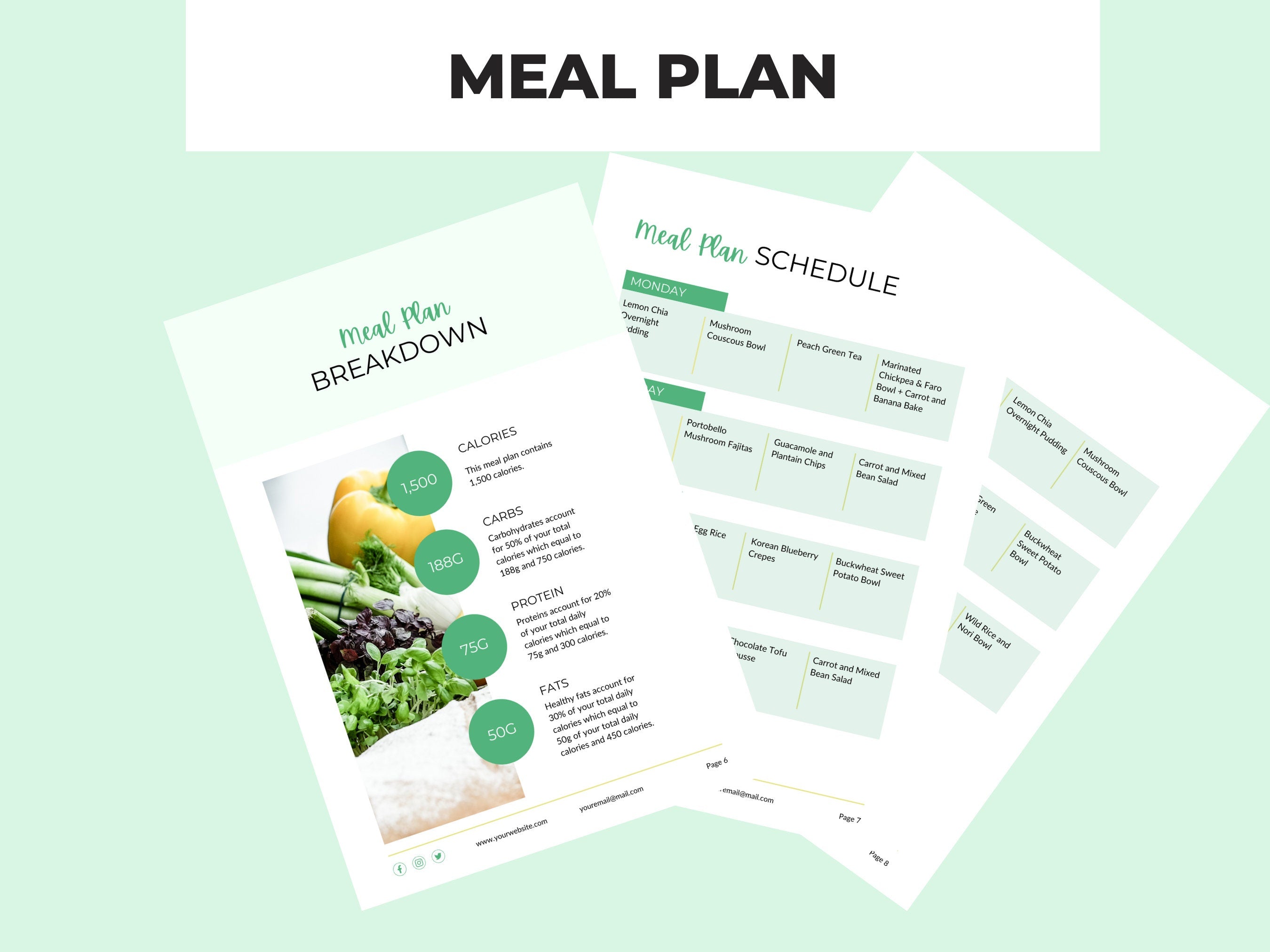preview of the structure and breakdown of the vegetarian meal plan , plr digital product