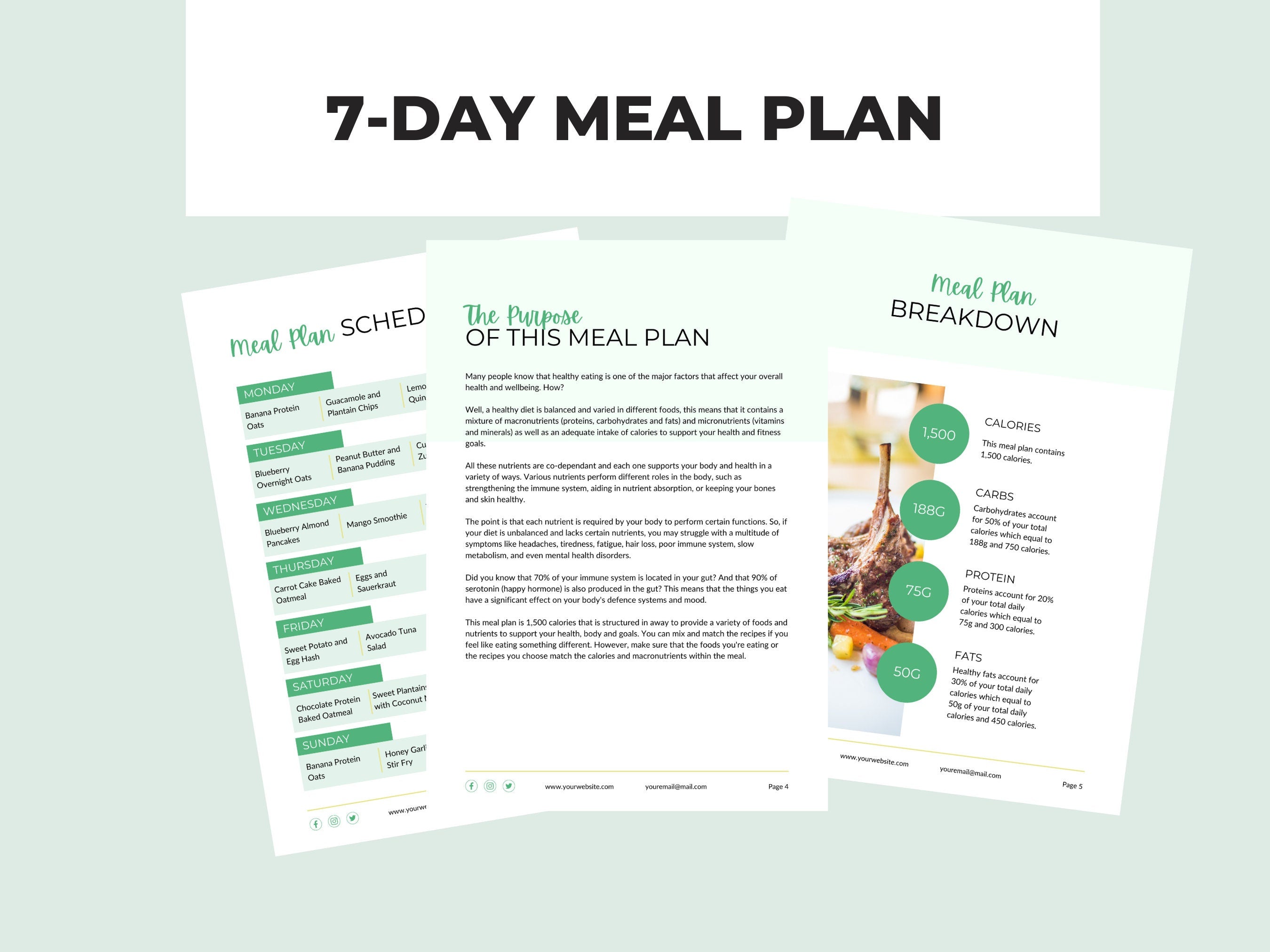 preview of the structure anfd design of the meal plan template, plr digital product