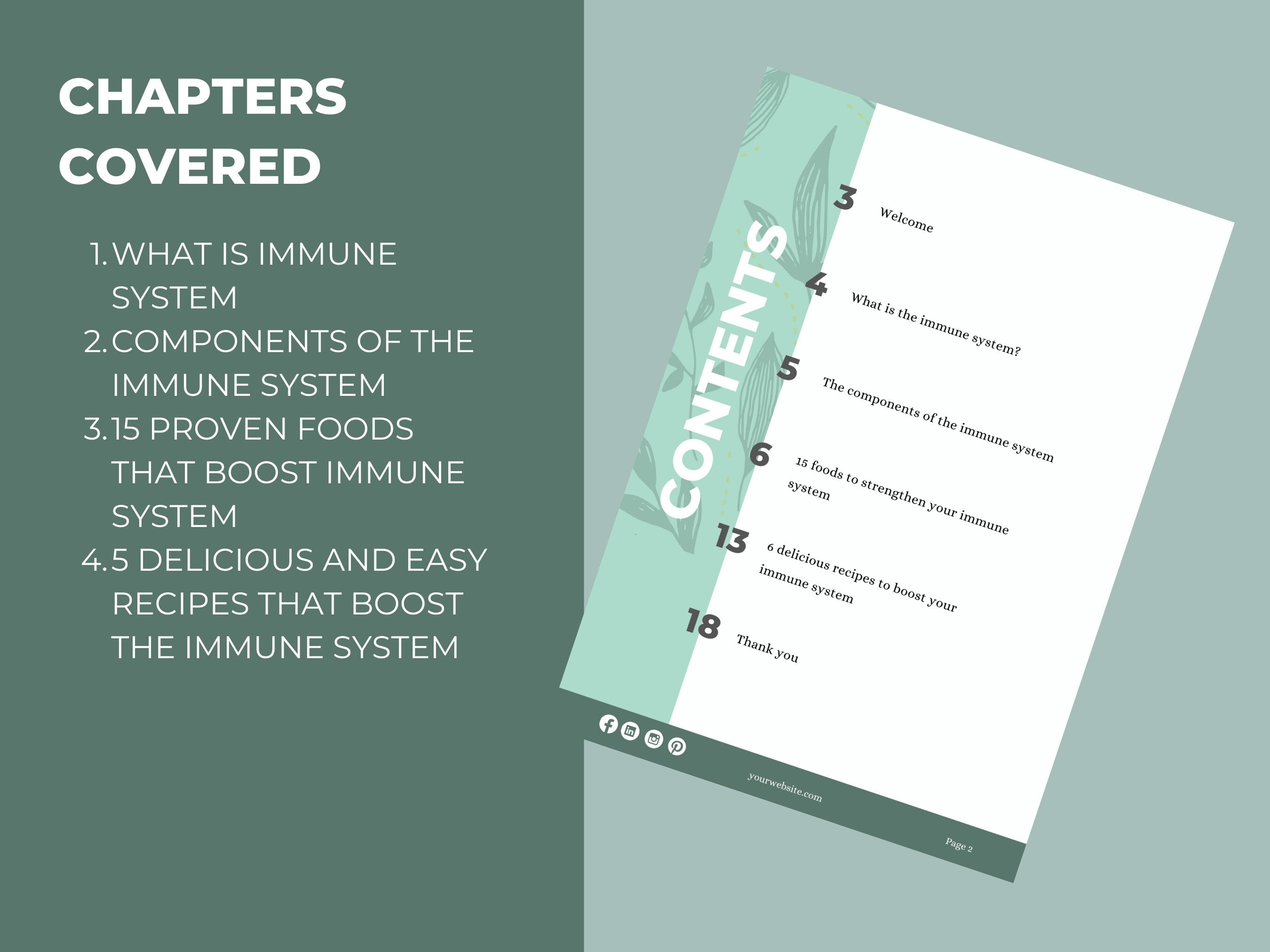preview of chapters included in this PLR diigital product