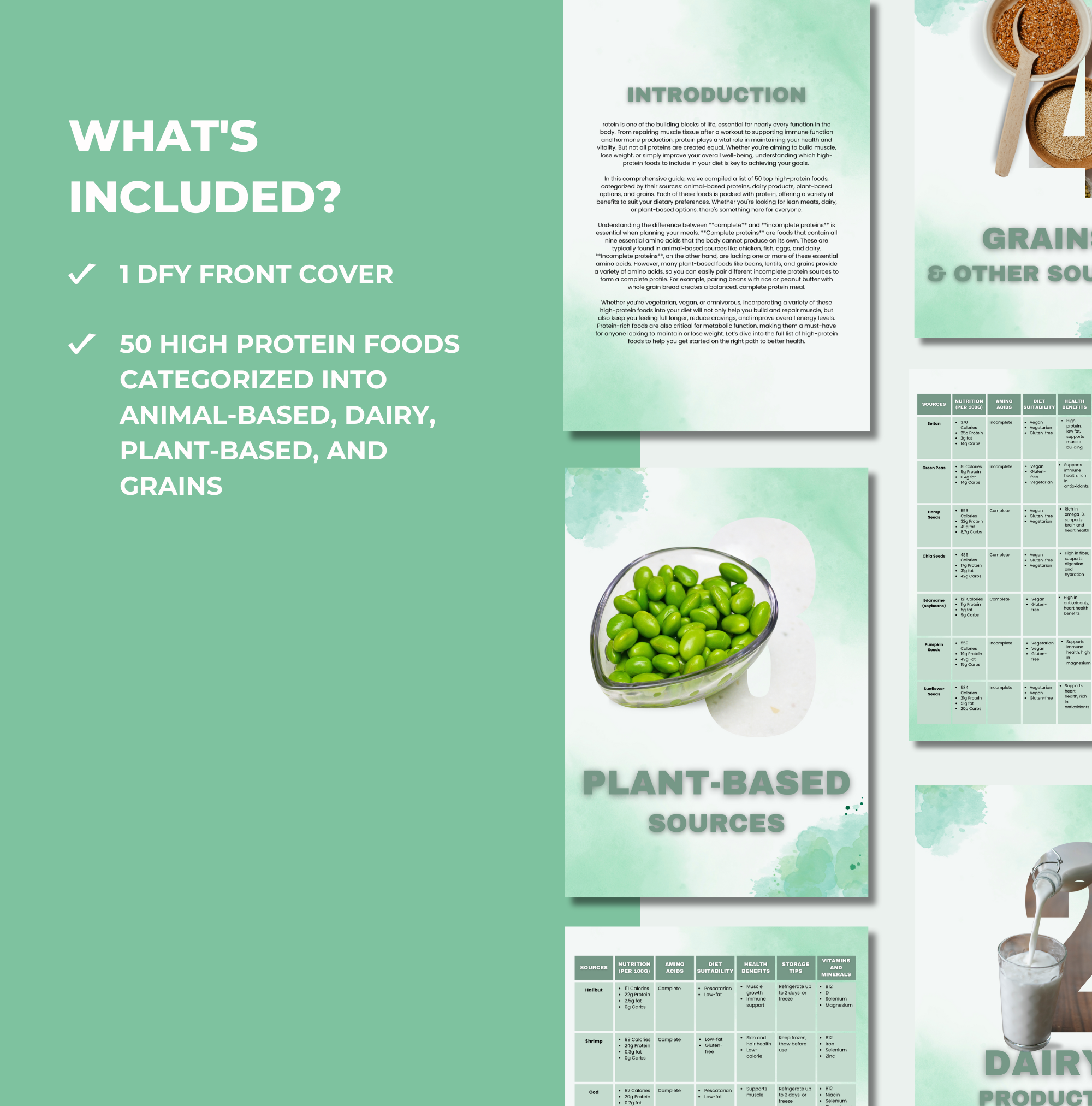 what is included with what is inside the High Protein Food List, Canva eBook Template, PLR Digital Product
